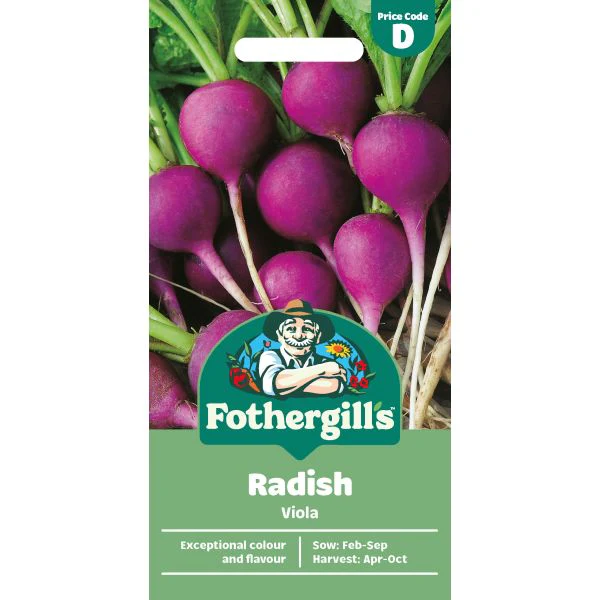 Radish Viola Seeds