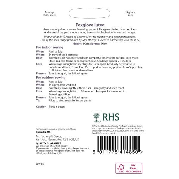 RHS Foxglove Lutea Seeds - Image 2