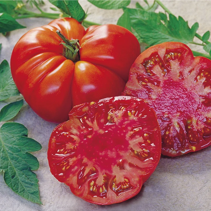 RHS Tomato Tomande F1 - Image 2