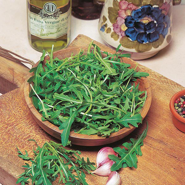 Rocket Wild Seeds - Image 3