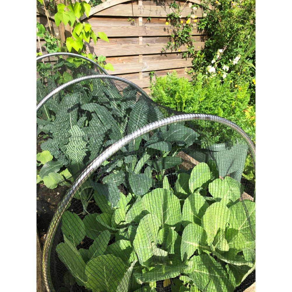 Round Aluminium Hoops for Garden Tunnel Cloches - Image 6