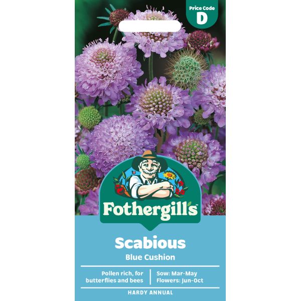 Scabious Blue Cushion Seeds - Image 2