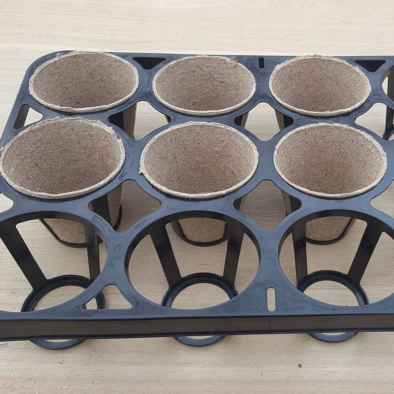 Skelly Trays With 36 Pots - Image 3