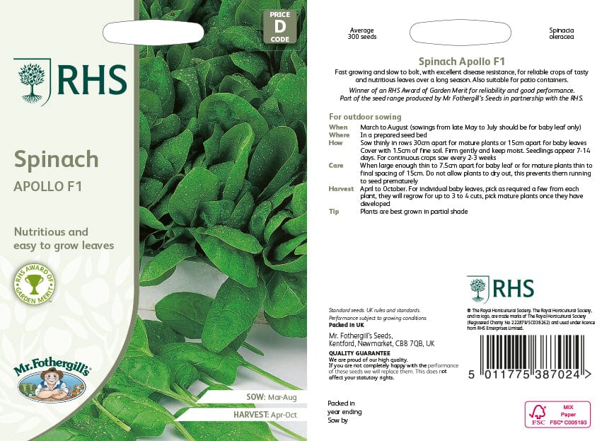 Spinach Apollo F1 Vegetable Seeds - Image 2