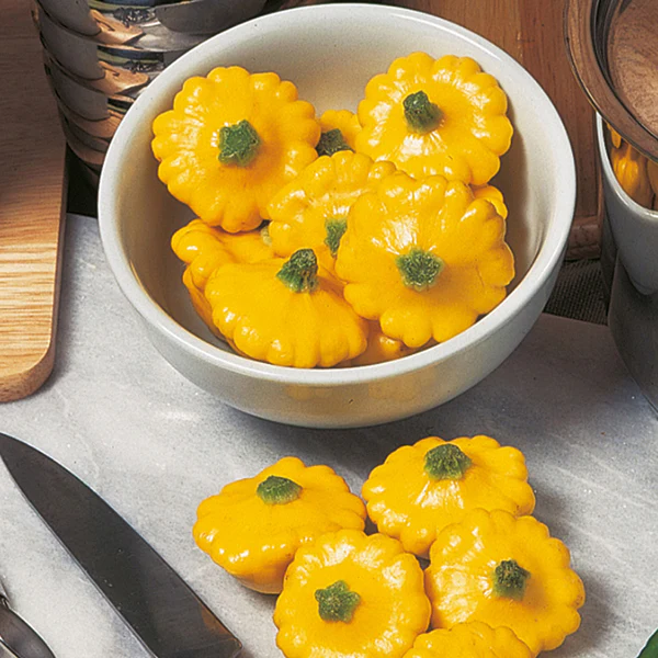 Squash (Summer) Sunburst F1 Seeds - Image 3