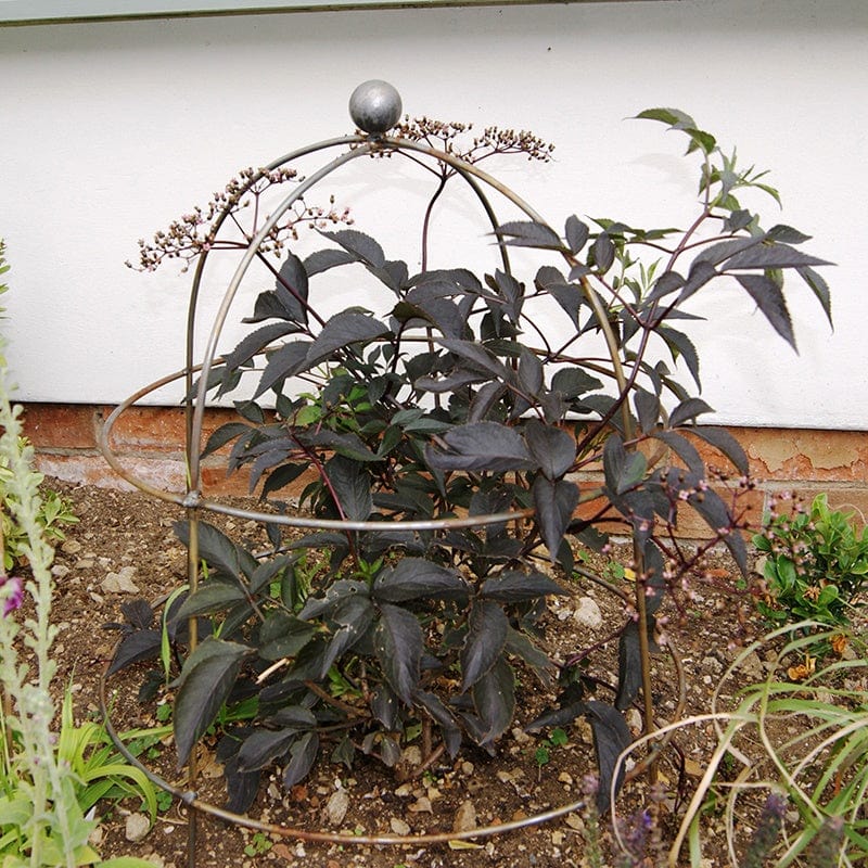 Steel Bell Plant Supports 68 x 51cm - Rust - Image 2