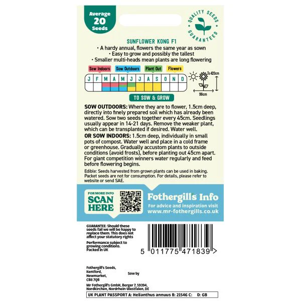 Sunflower Kong F1 Seeds - Image 2