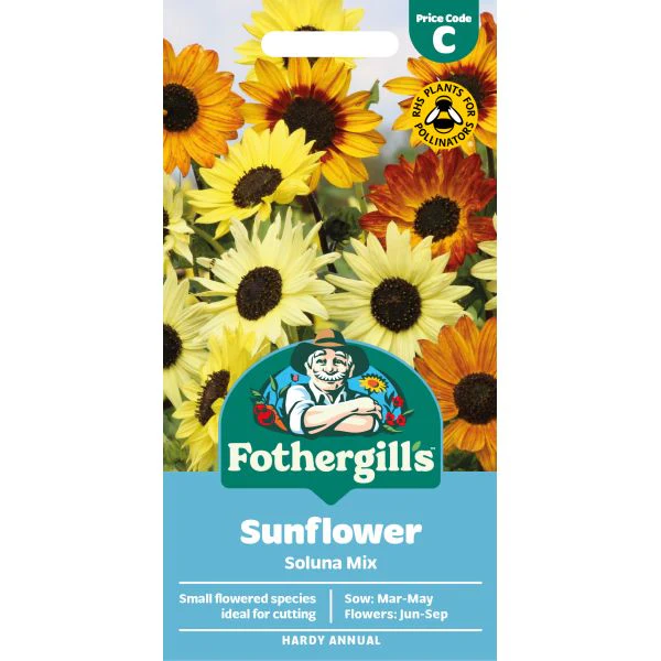 Sunflower Soluna Mix Seeds