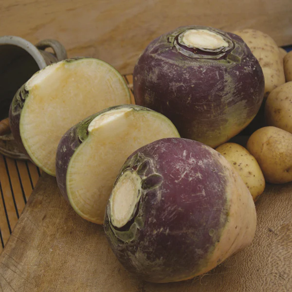 Swede Gowrie Seeds - Image 3