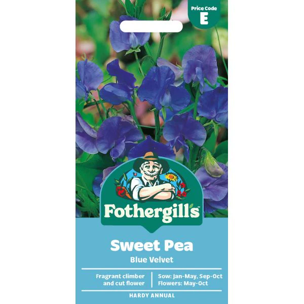 Sweet Pea Blue Velvet Seeds