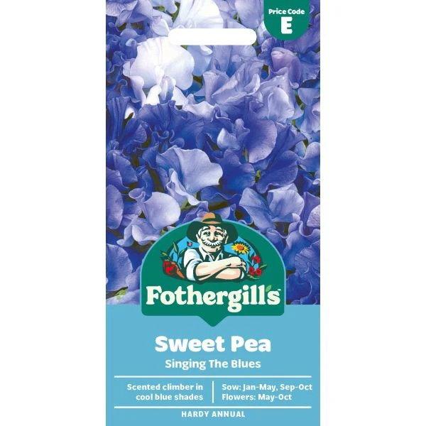 Sweet Pea Singing the Blues Seeds