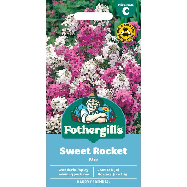 Sweet Rocket Mixed Seeds