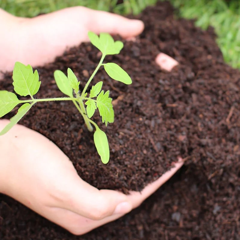 SylvaGrow Peat Free Multipurpose Compost - Image 2