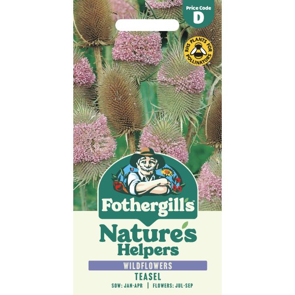 Nature's Helpers Teasel Seeds - Image 4