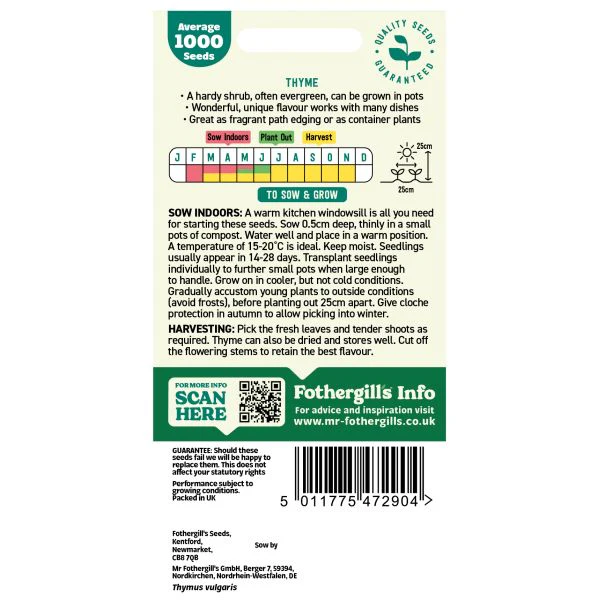 Thyme Seeds - Image 2