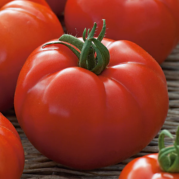 Tomato (Beefsteak)  Country Taste F1 Seeds - Image 3
