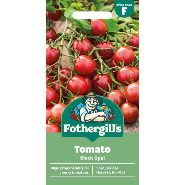Tomato (Cherry) Black Opal Seeds