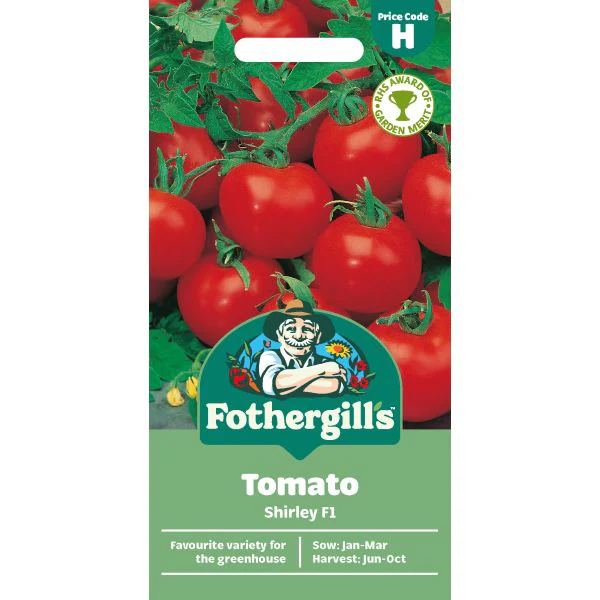 Tomato (Standard) Shirley F1 Seeds