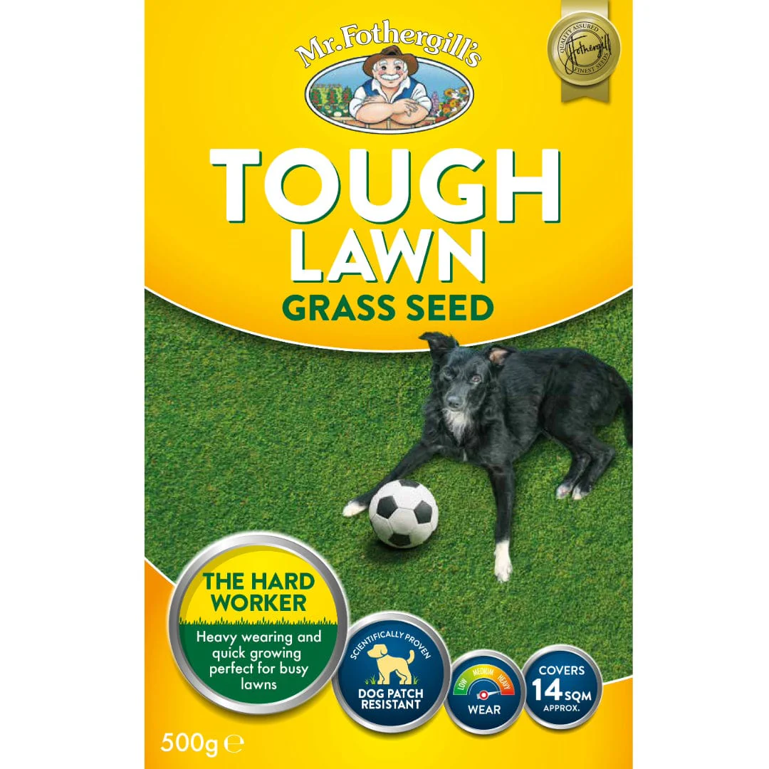 Tough Lawn Seed - Image 2