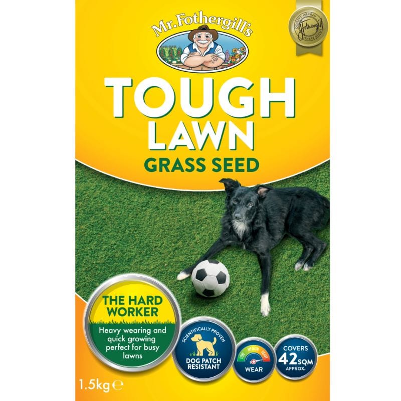 Tough Lawn Seed - Image 3