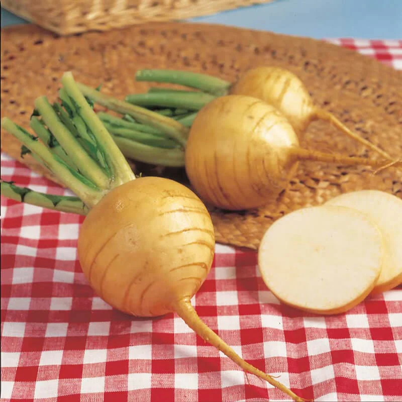 Turnip Golden Ball Vegetable Plants