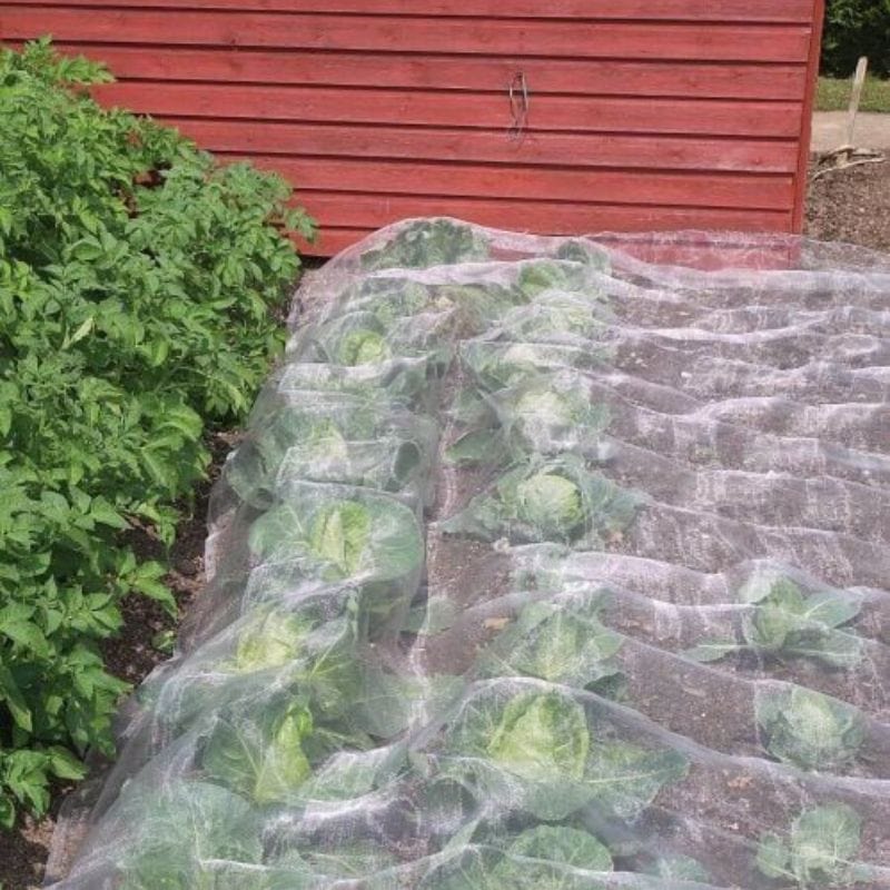 Veggiemesh Insect and Weather Netting