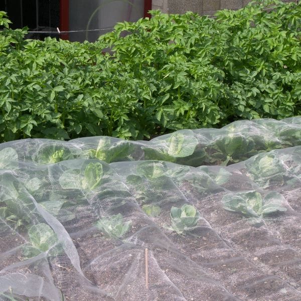 Veggiemesh Insect and Weather Netting - Image 12