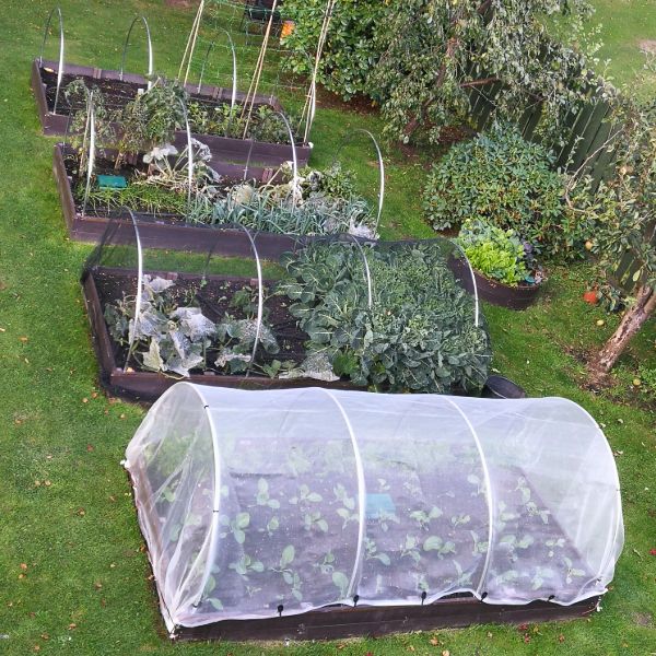 Veggiemesh Insect and Weather Netting - Image 2