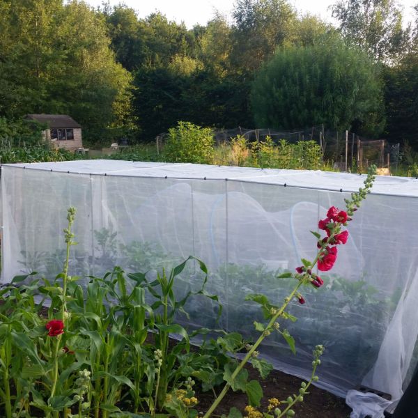 Veggiemesh Insect and Weather Netting - Image 3