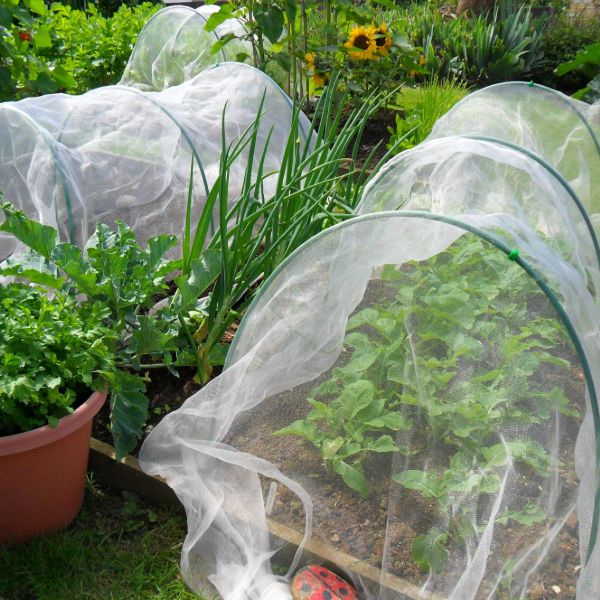Veggiemesh Insect and Weather Netting - Image 4