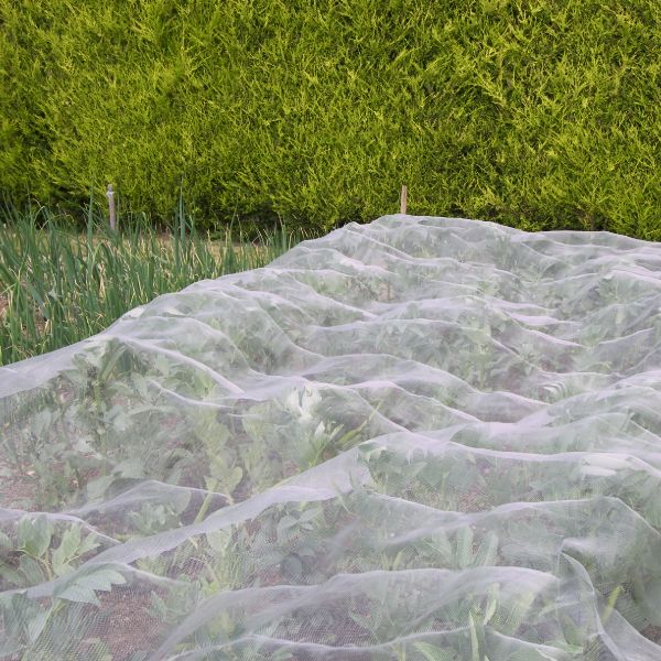 Veggiemesh Insect and Weather Netting - Image 5