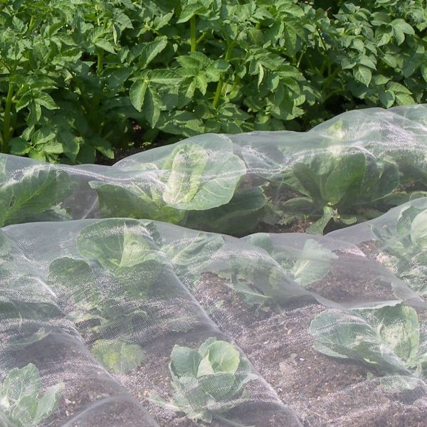 Veggiemesh Insect and Weather Netting - Image 7