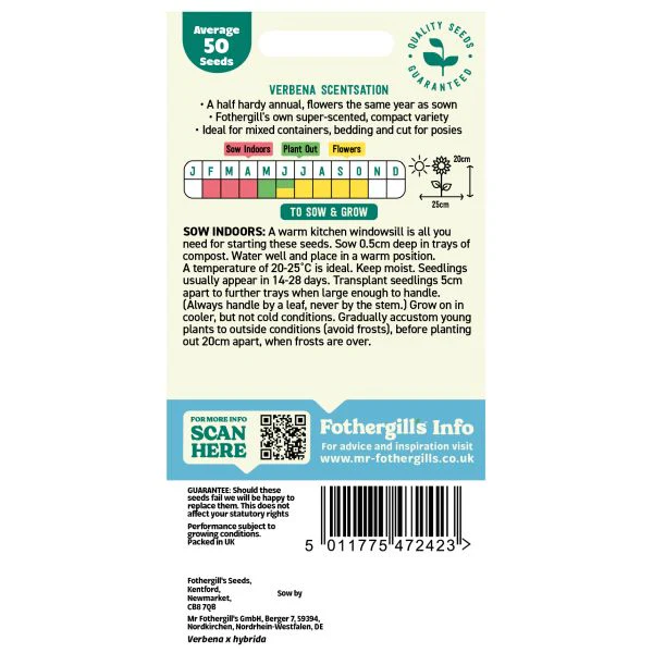 Verbena Scentsation Seeds - Image 2