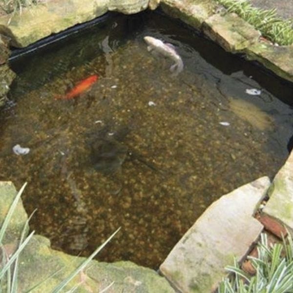 Aqua Pond Clear
