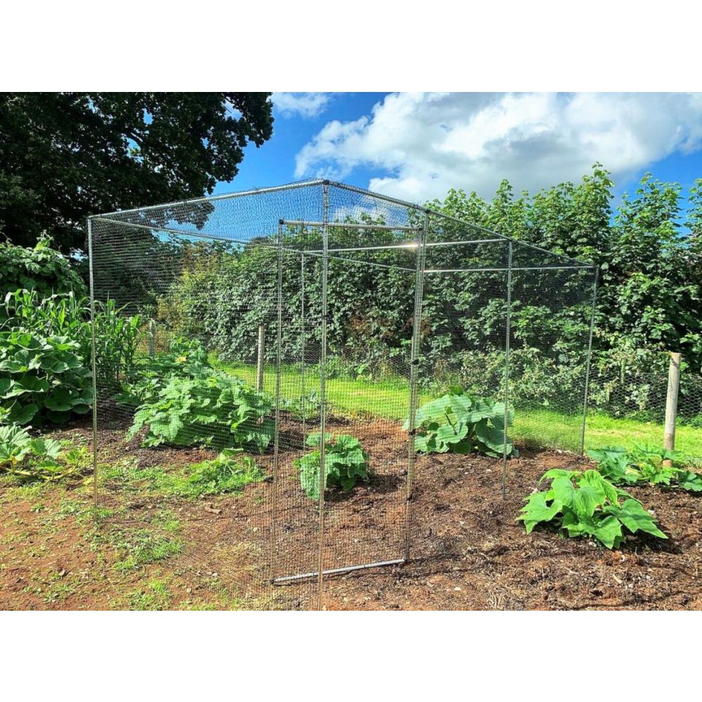 Walk In Aluminium Fruit & Veg Cages with Bird Netting - Image 6