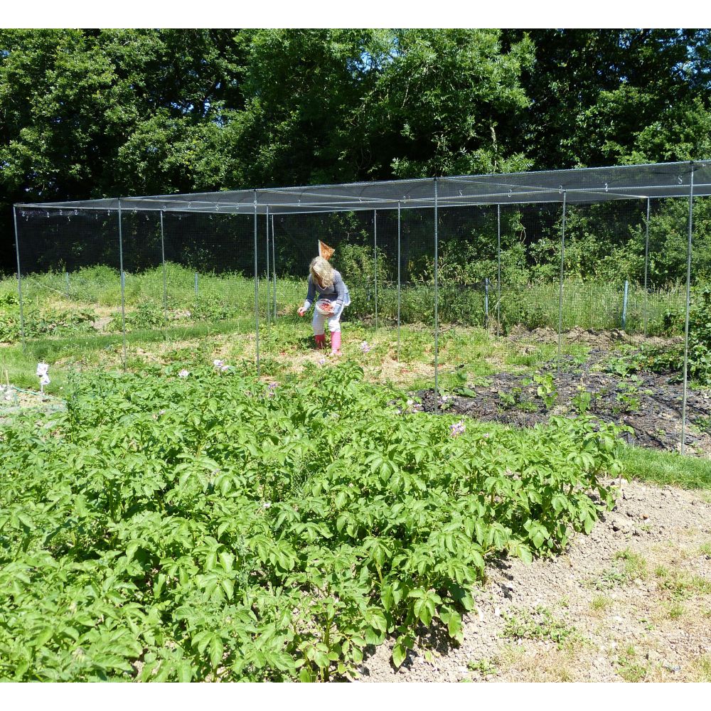 Walk In Aluminium Fruit & Veg Cages with Bird Netting - Image 7