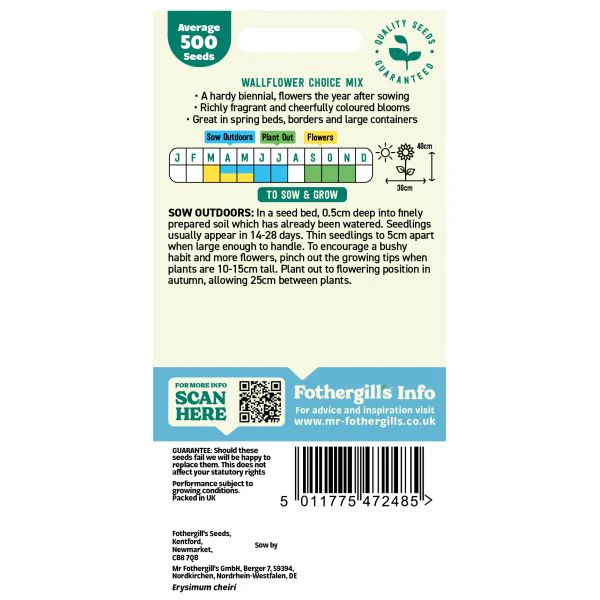 Wallflower Choice Mixed Seeds - Image 2