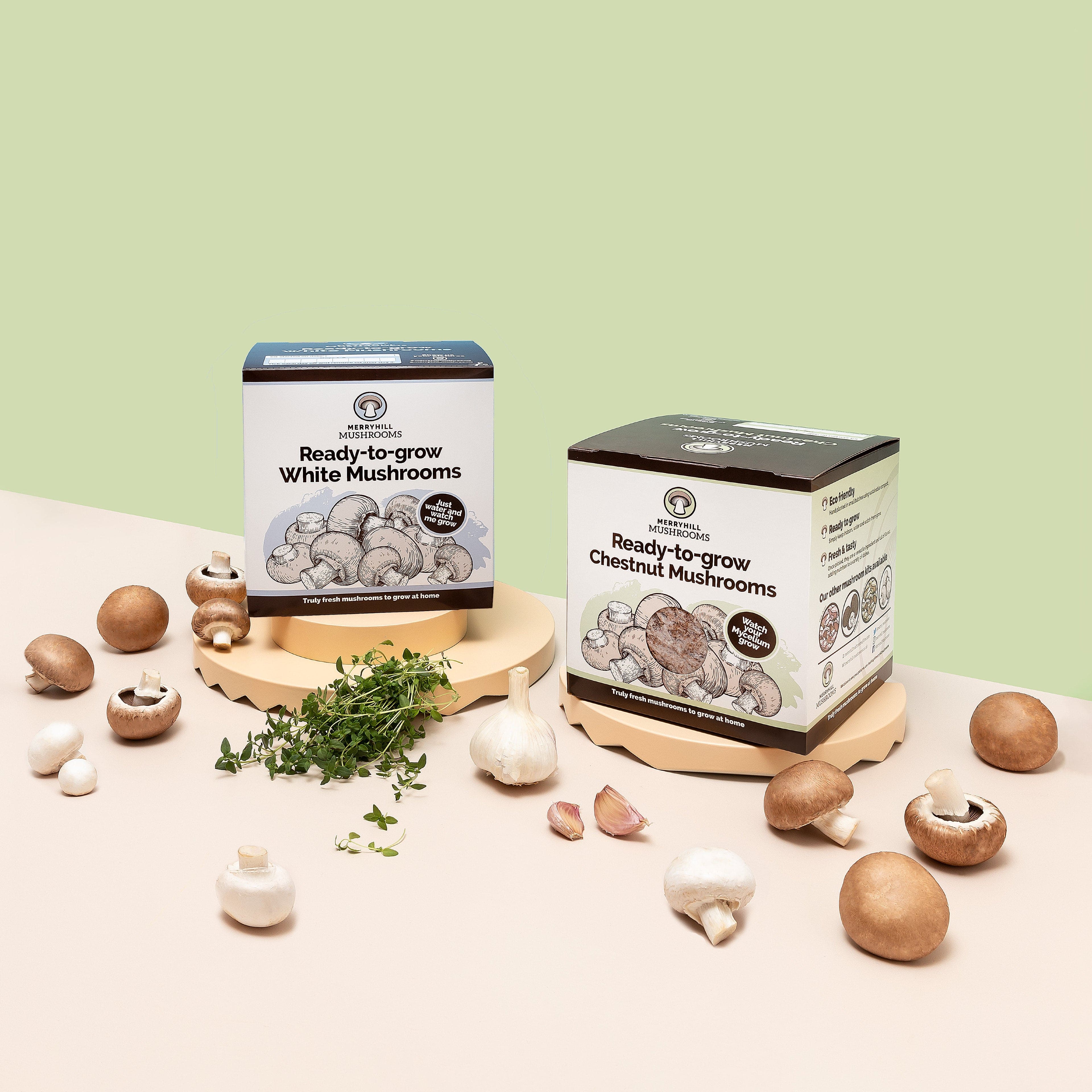White Mushrooms Home Grow Kit - Image 4
