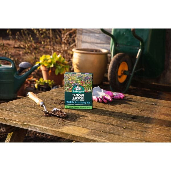 Wildlife Attracting Flower Seed Mix - Image 2