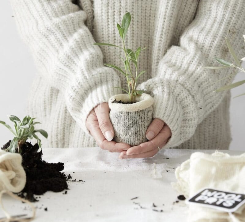 Wool Pots x 20 - Image 3