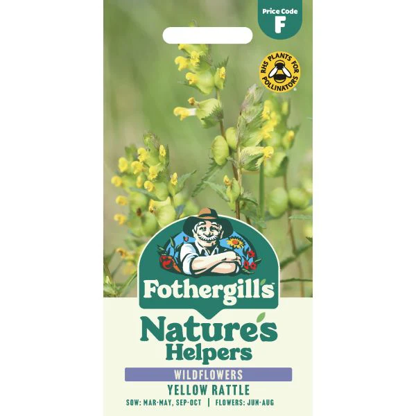 Nature's Helpers Yellow Rattle Wildflower Seeds
